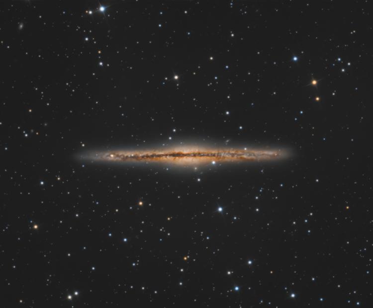 NGC 891 | © Adriano Anfuso