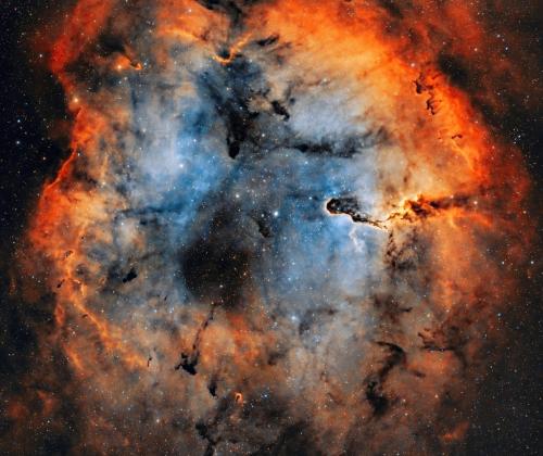 Elephant Trunk Nebula | © Adriano Anfuso