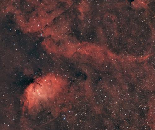 Tulip Nebula | © Adriano Anfuso
