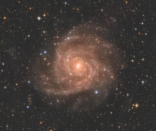 IC 342 | © Adriano Anfuso