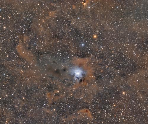 Iris Nebula | © Adriano Anfuso