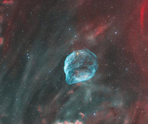 Dolphin Head Nebula | © Adriano Anfuso