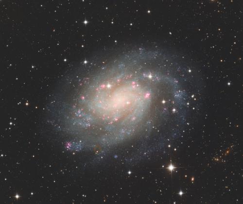 NGC 300 | © Adriano Anfuso