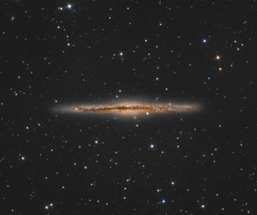 NGC 891 | © Adriano Anfuso